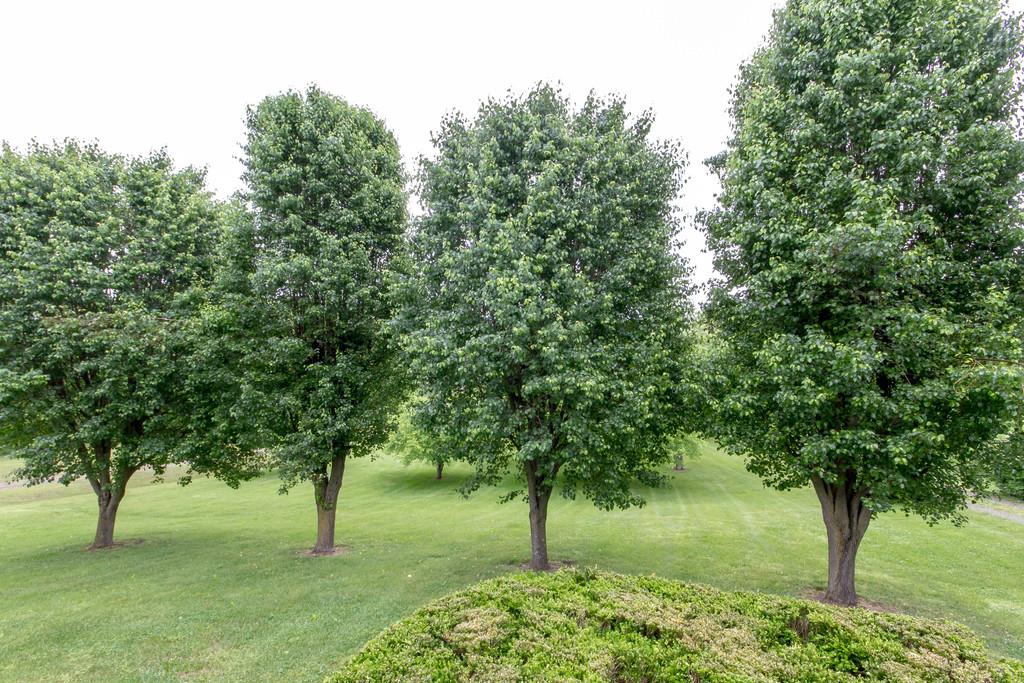 471 Calista Road White House, TN 37188 - Photo 4 of 25 A view from the front porch