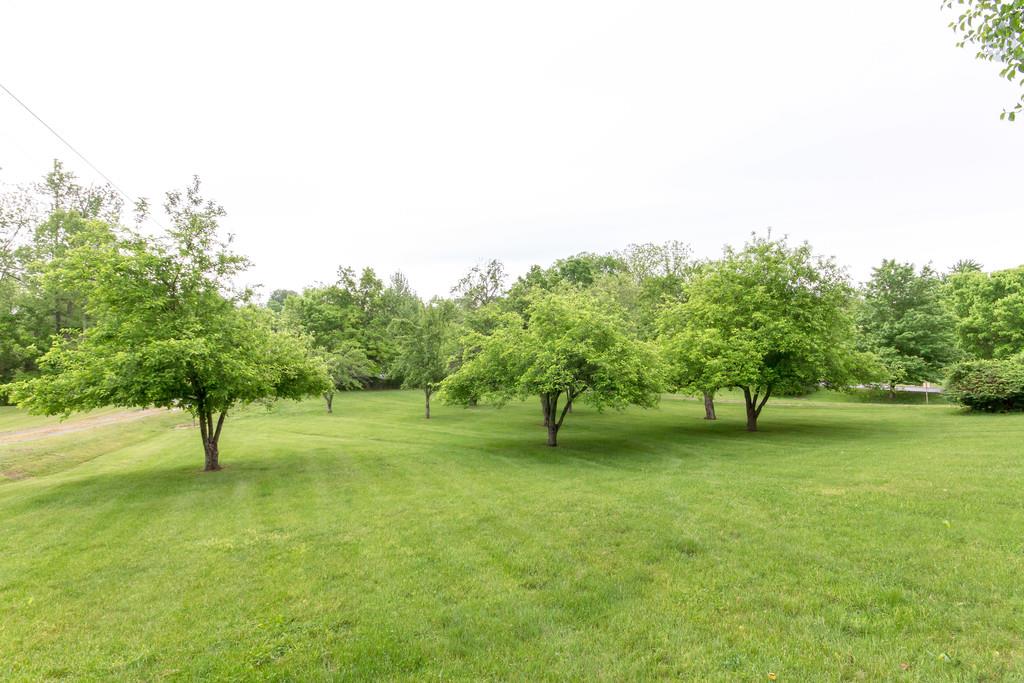 471 Calista Road White House, TN 37188 - Photo 5 of 25 Another view from the front porch