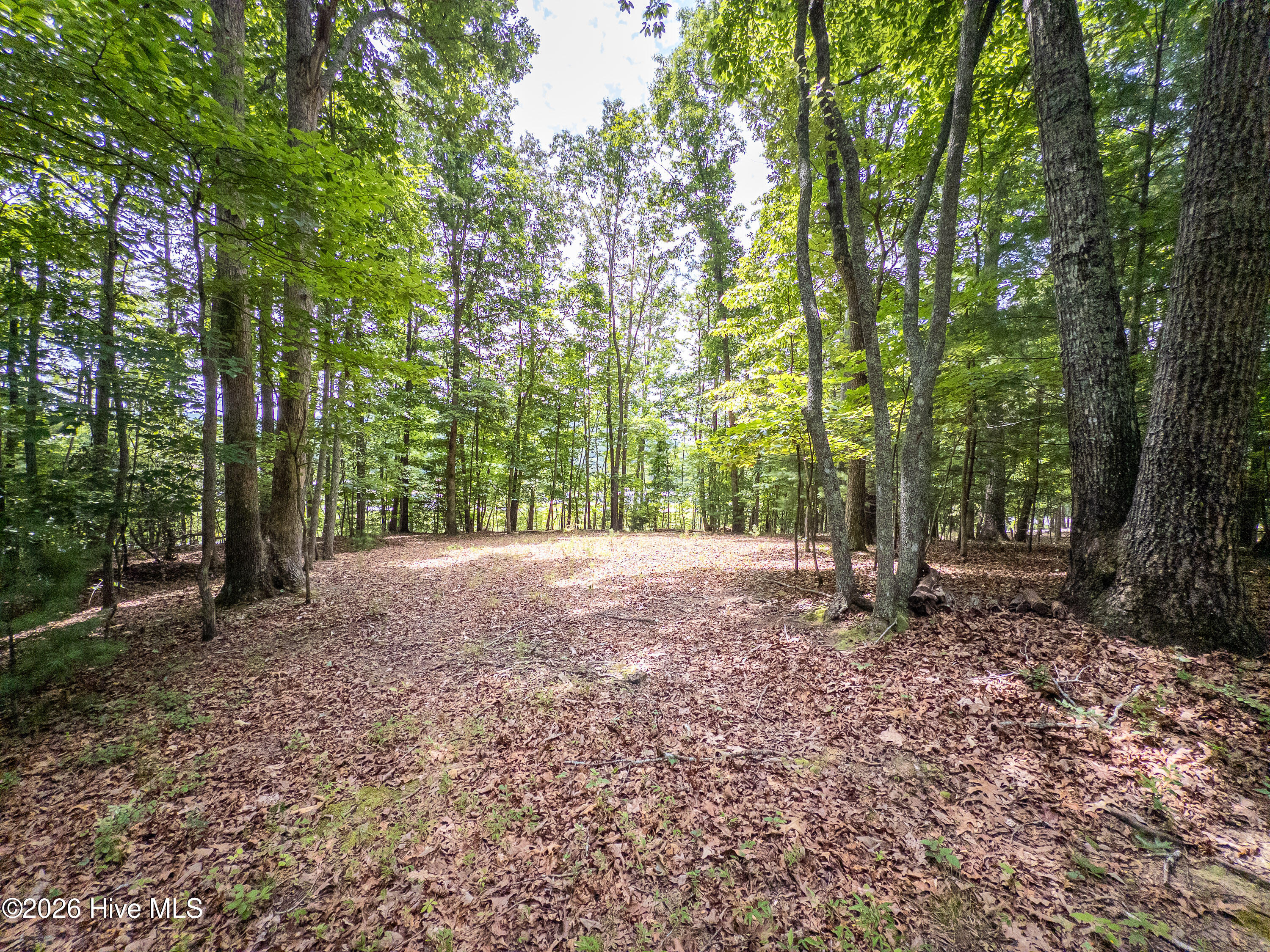168 Lilac Trail Murphy, NC 28906 - Photo 57 of 60