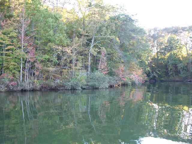 Lot 1-2 Nancy Point Spring, Unit 1 & 2 Spring City, TN 37381 - Photo 1 of 16 1
