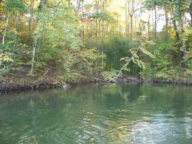 Lot 1-2 Nancy Point Spring, Unit 1 & 2 Spring City, TN 37381 - Photo 3 of 16 3
