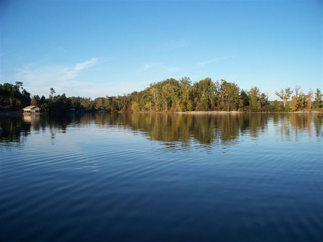 Lot 1-2 Nancy Point Spring, Unit 1 & 2 Spring City, TN 37381 - Photo 4 of 16 4