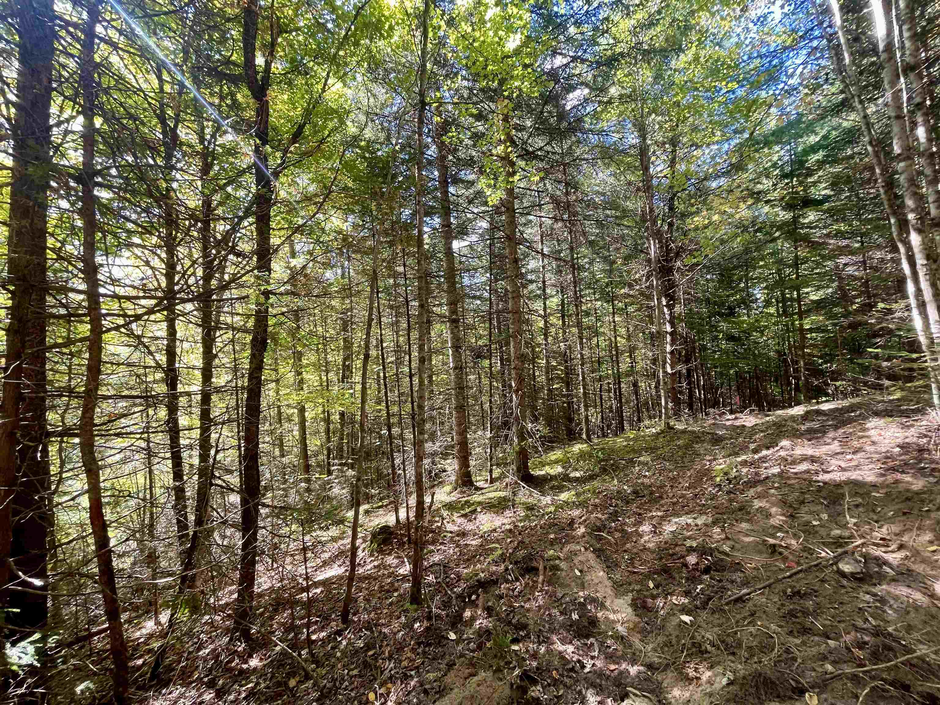 0 Marshall Newland Road East Burke, VT 05832 - Photo 14 of 29