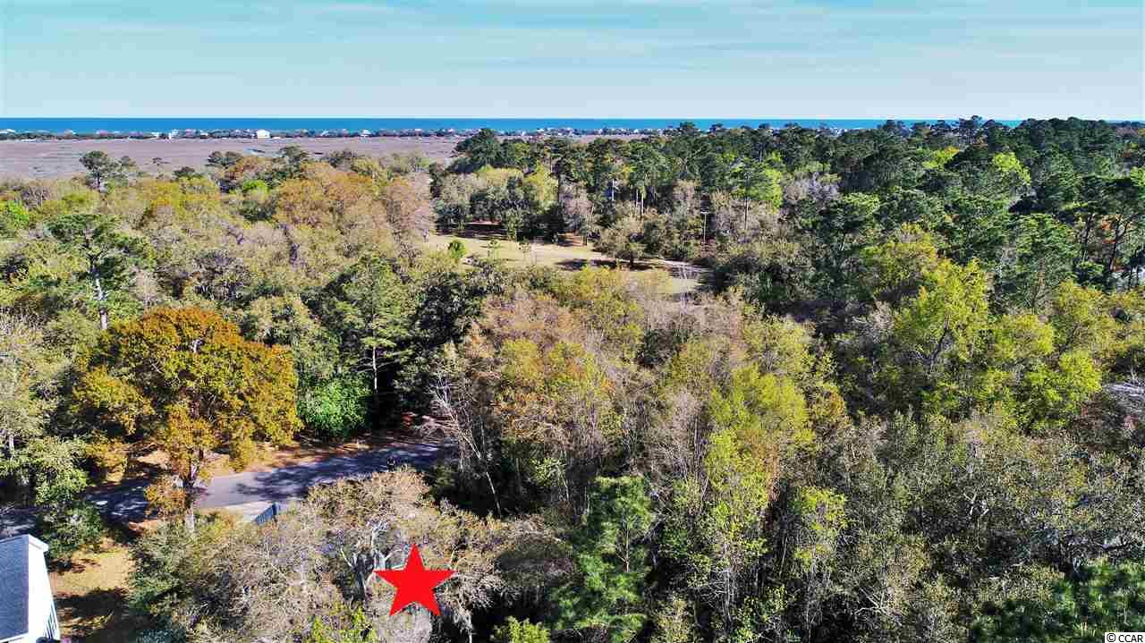 333 Rybolt Road Pawleys Island, SC 29585 - Photo 24 of 27 Gallery Image 24