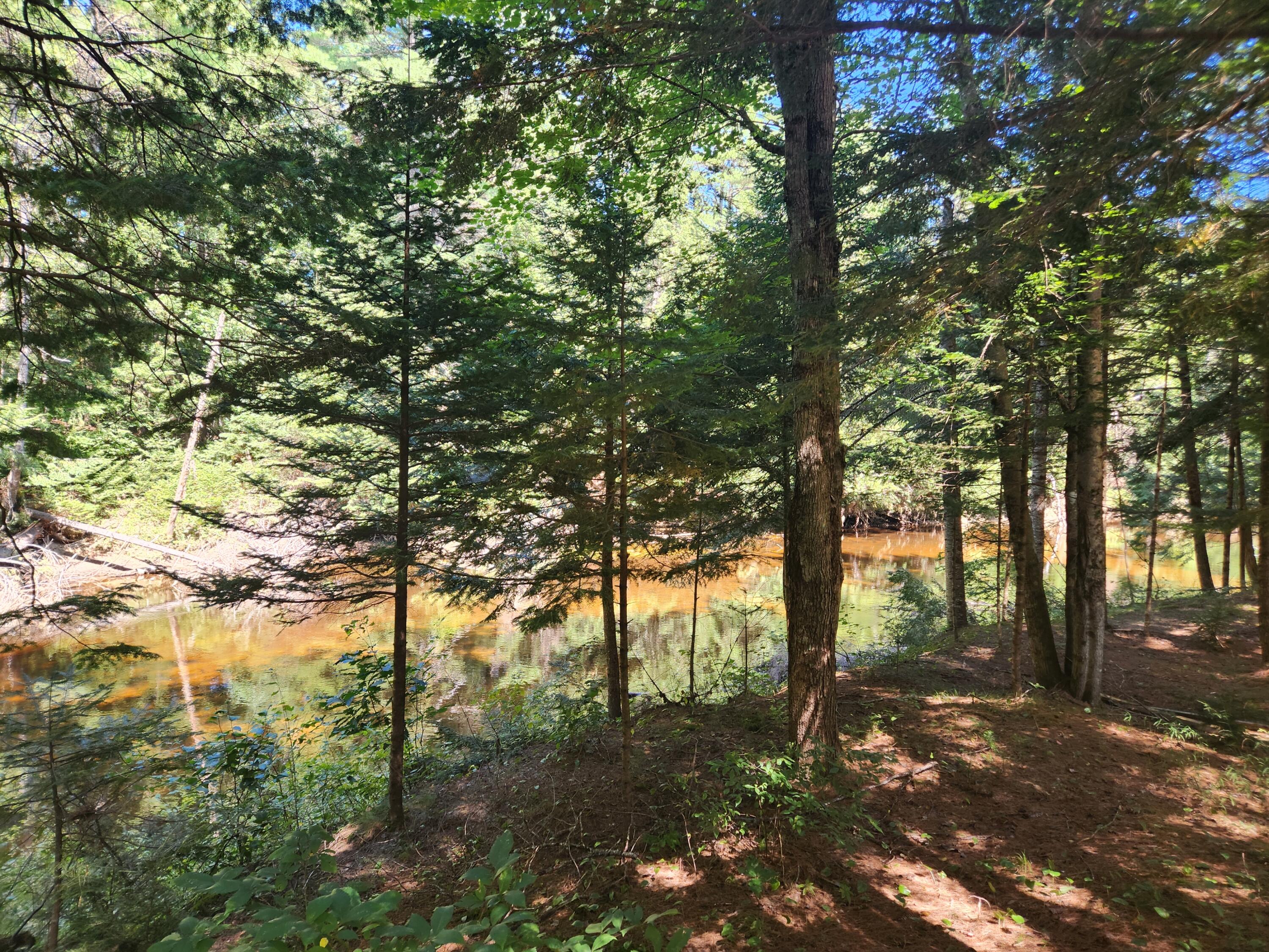 99 Crooked River Road Otisfield, ME 04270 - Photo 2 of 17 20240829_121211