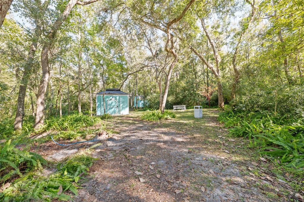 Neff Lake Road Brooksville, FL 34601 - Photo 11 of 29 a view of a yard with plants and trees