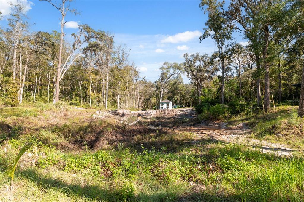 Neff Lake Road Brooksville, FL 34601 - Photo 13 of 29 a view of dirt yard