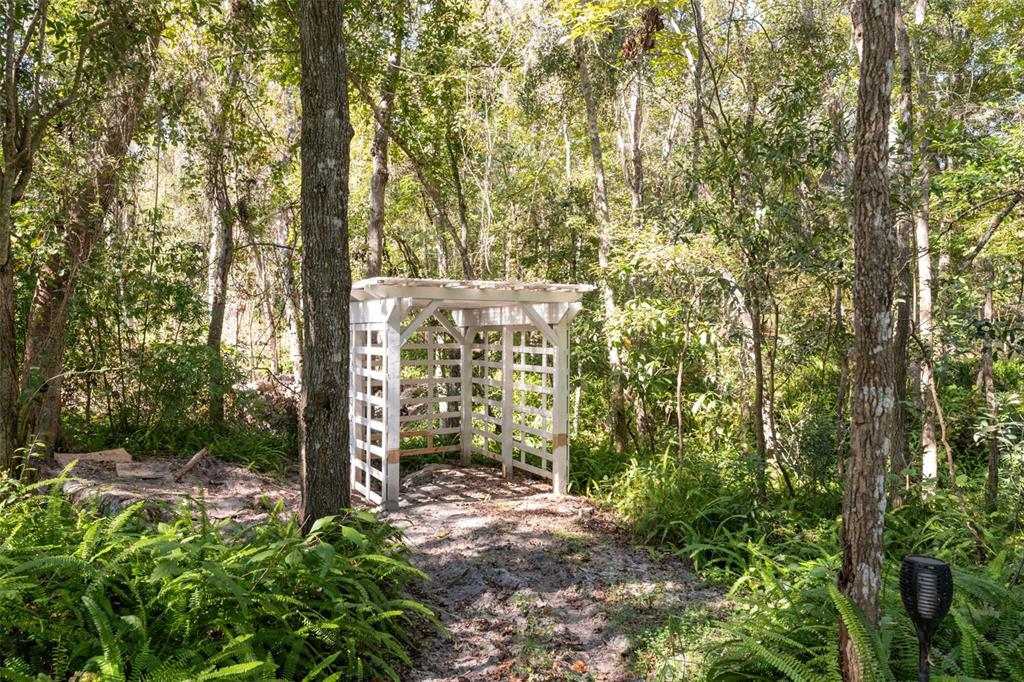 Neff Lake Road Brooksville, FL 34601 - Photo 14 of 29 a view of a yard with plants and trees
