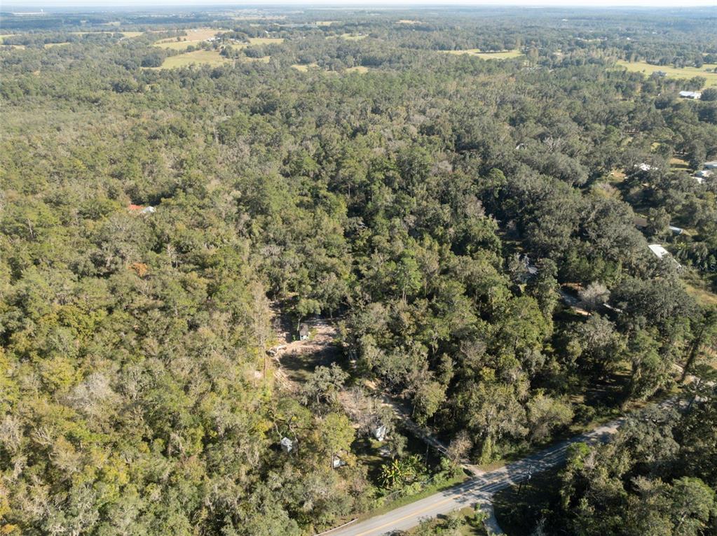 Neff Lake Road Brooksville, FL 34601 - Photo 16 of 29 an aerial view of forest