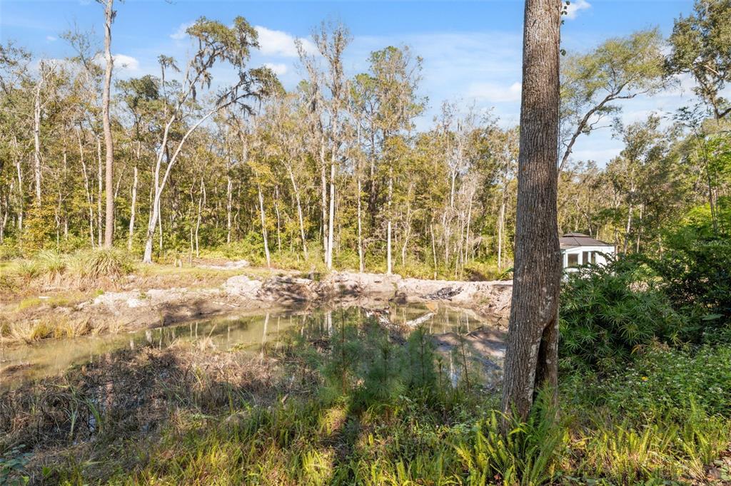 Neff Lake Road Brooksville, FL 34601 - Photo 19 of 29 a view of back yard