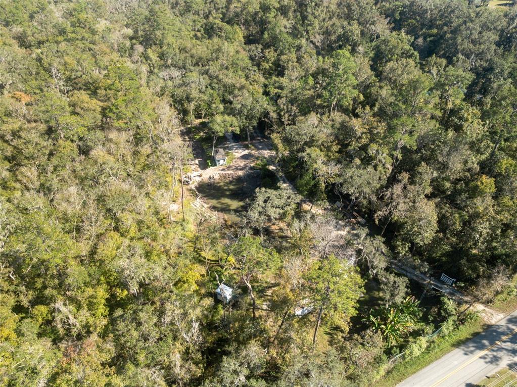 Neff Lake Road Brooksville, FL 34601 - Photo 20 of 29 a view of a tree with a tree