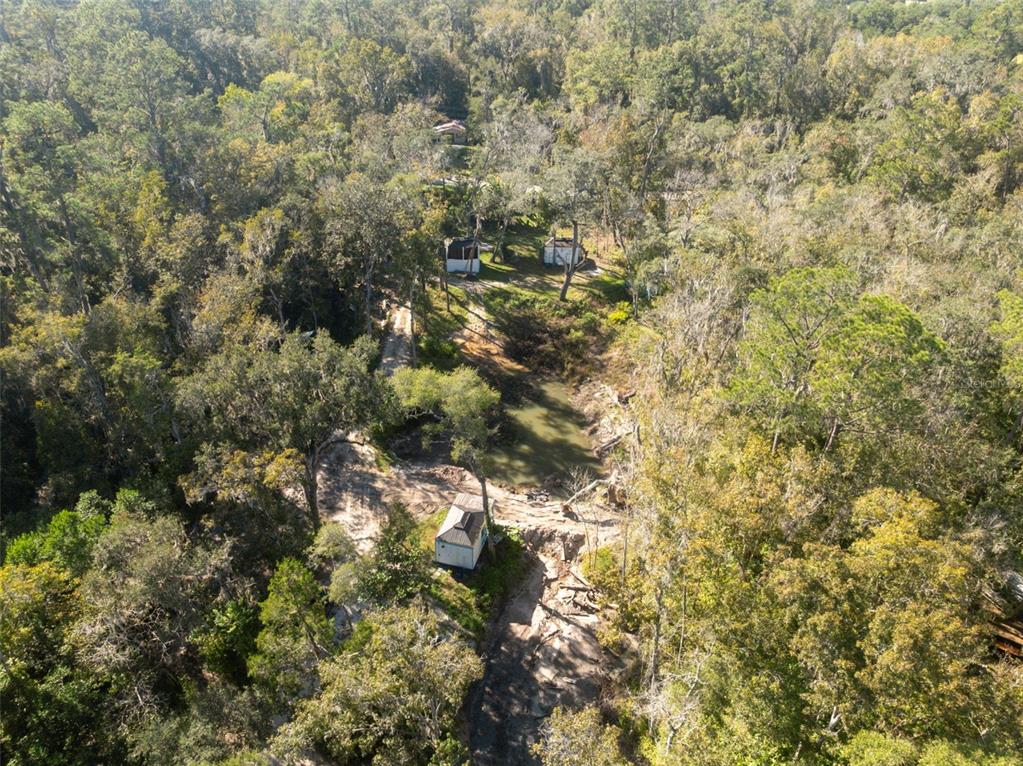 Neff Lake Road Brooksville, FL 34601 - Photo 21 of 29 a view of a tree
