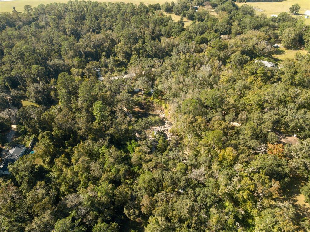Neff Lake Road Brooksville, FL 34601 - Photo 23 of 29 a view of a field