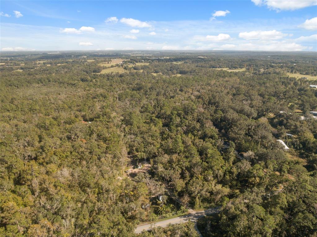 Neff Lake Road Brooksville, FL 34601 - Photo 26 of 29