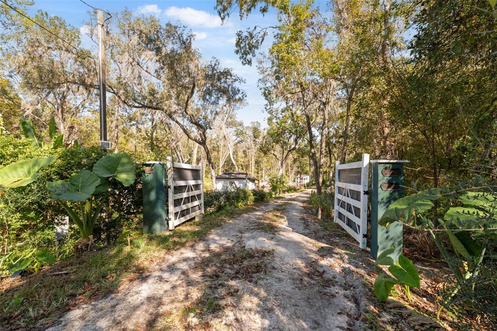 Neff Lake Road Brooksville, FL 34601 - Photo 3 of 29 a backyard of a house with lots of green space