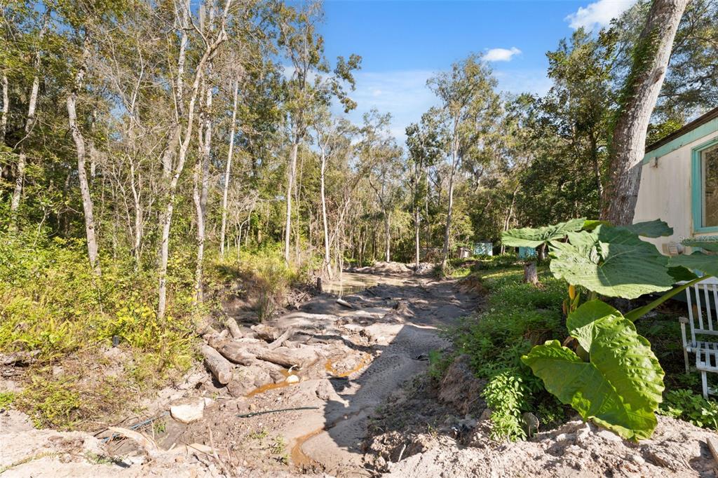 Neff Lake Road Brooksville, FL 34601 - Photo 7 of 29 a backyard of a house with lots of green space