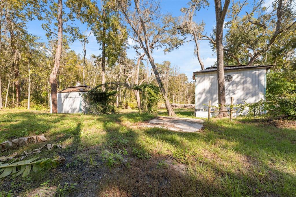 Neff Lake Road Brooksville, FL 34601 - Photo 8 of 29 a view of yard with tree