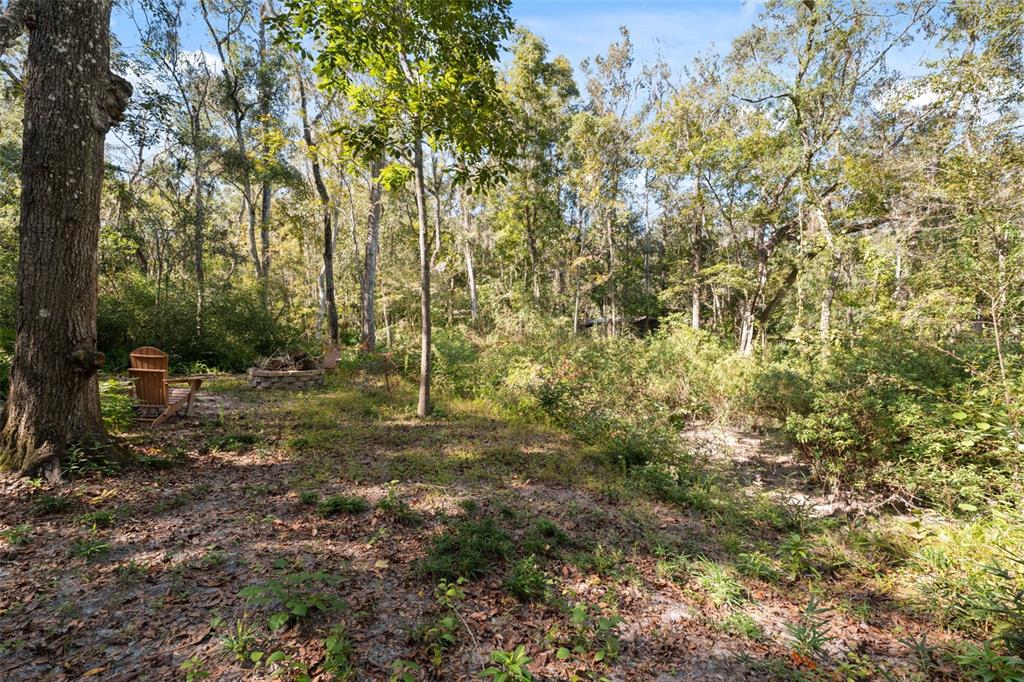Neff Lake Road Brooksville, FL 34601 - Photo 10 of 29 a view of a forest with trees in the background