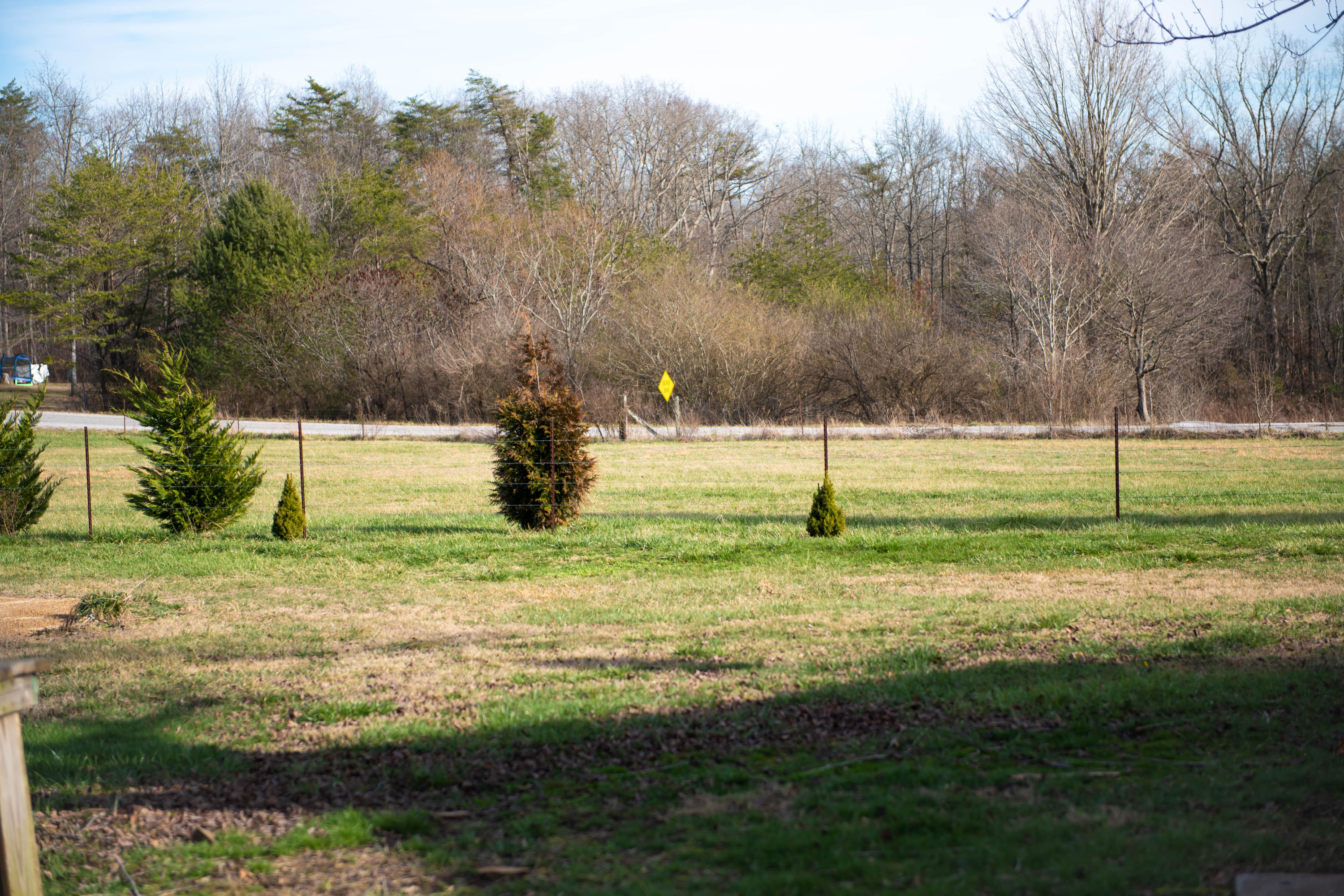 65 Ivey Road Crossville, TN 38571 - Photo 4 of 10 65 (1 of 1)-3