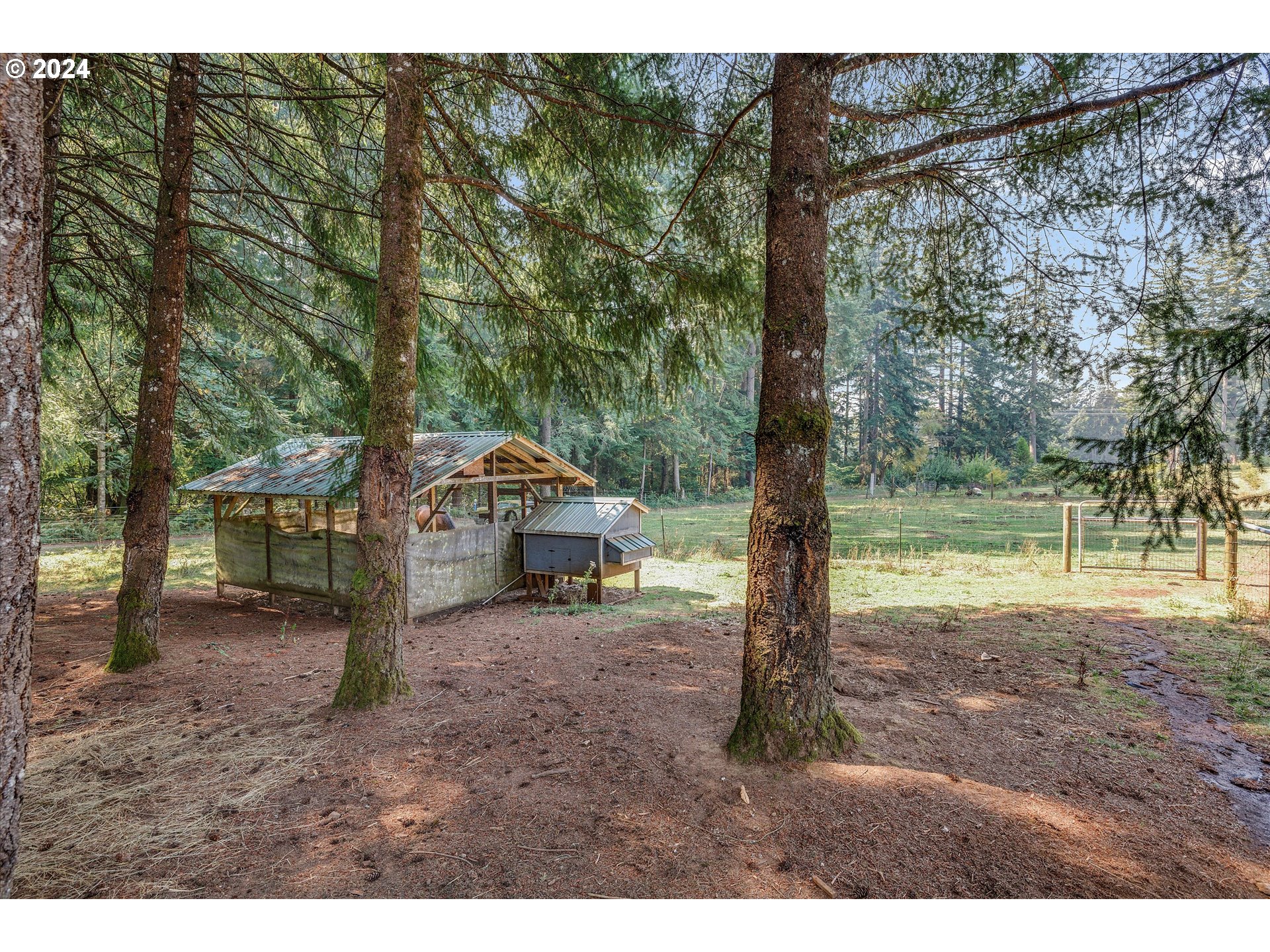 8431 Southeast Groce Road Corbett, OR 97019 - Photo 23 of 37 a backyard of a house with lots of green space