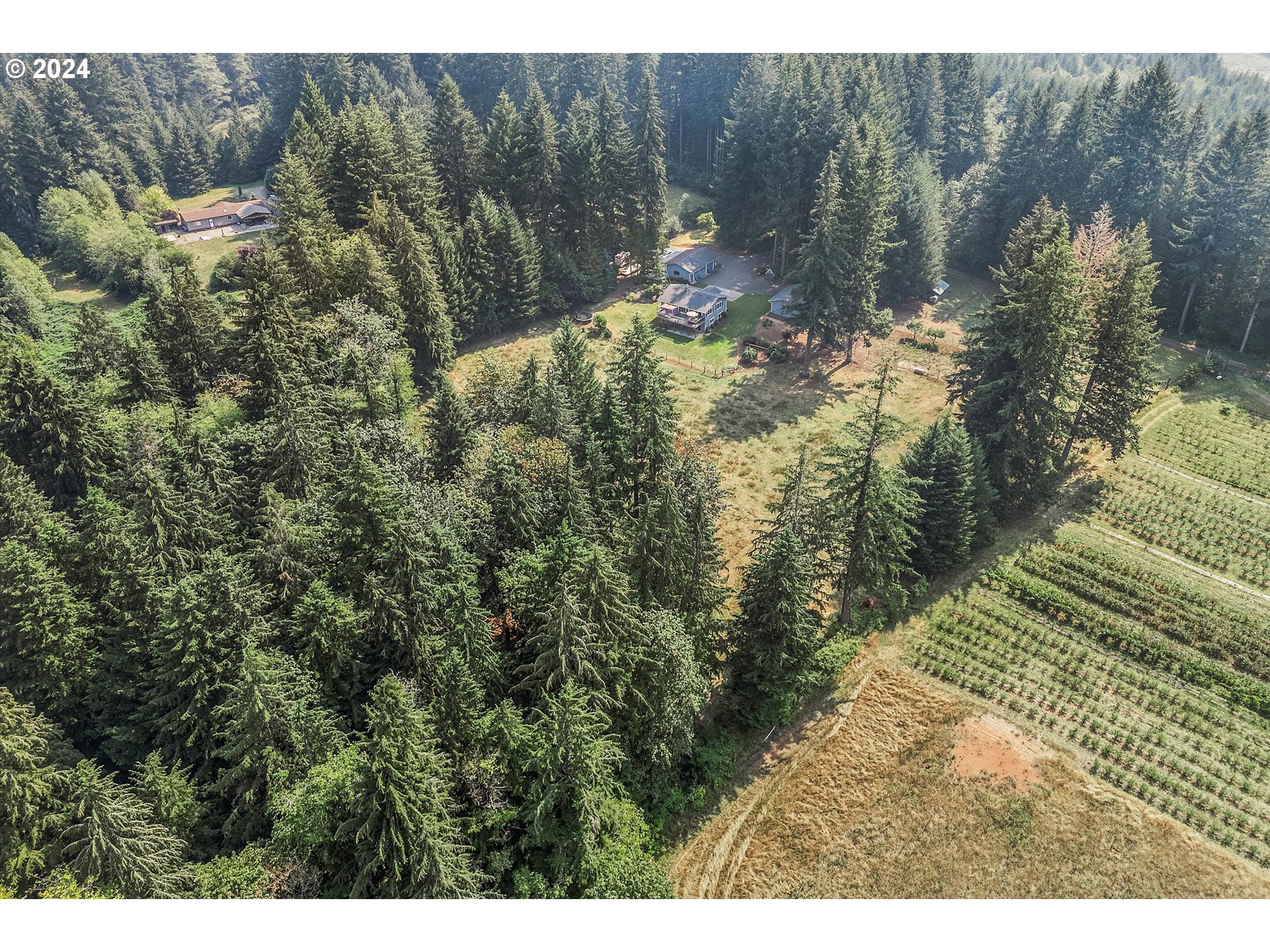 8431 Southeast Groce Road Corbett, OR 97019 - Photo 35 of 37 a view of a yard