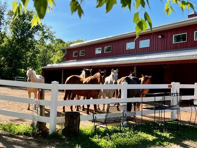 680 Game Farm Road North Minnetrista, MN 55359 - Photo 71 of 84
