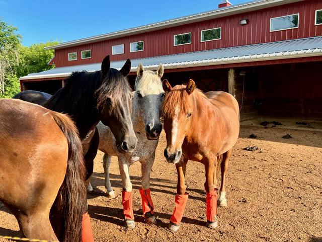 680 Game Farm Road North Minnetrista, MN 55359 - Photo 72 of 84