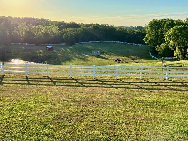 680 Game Farm Road North Minnetrista, MN 55359 - Photo 74 of 84