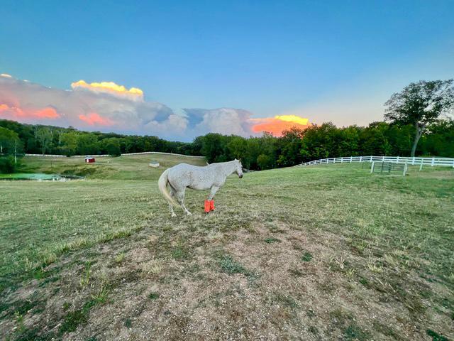 680 Game Farm Road North Minnetrista, MN 55359 - Photo 79 of 84