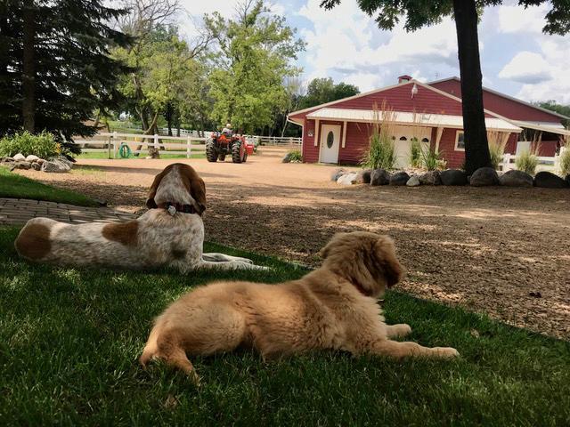 680 Game Farm Road North Minnetrista, MN 55359 - Photo 82 of 84