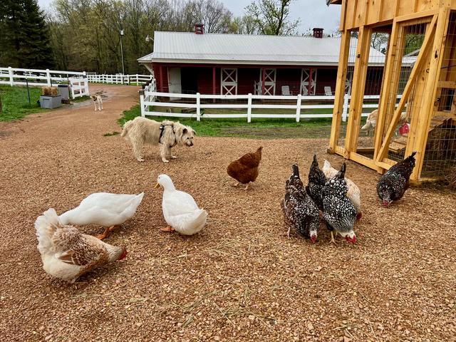 680 Game Farm Road North Minnetrista, MN 55359 - Photo 83 of 84