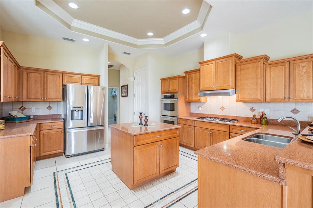 34303 Sahalee Loop Dade City, FL 33525 - Photo 40 of 67