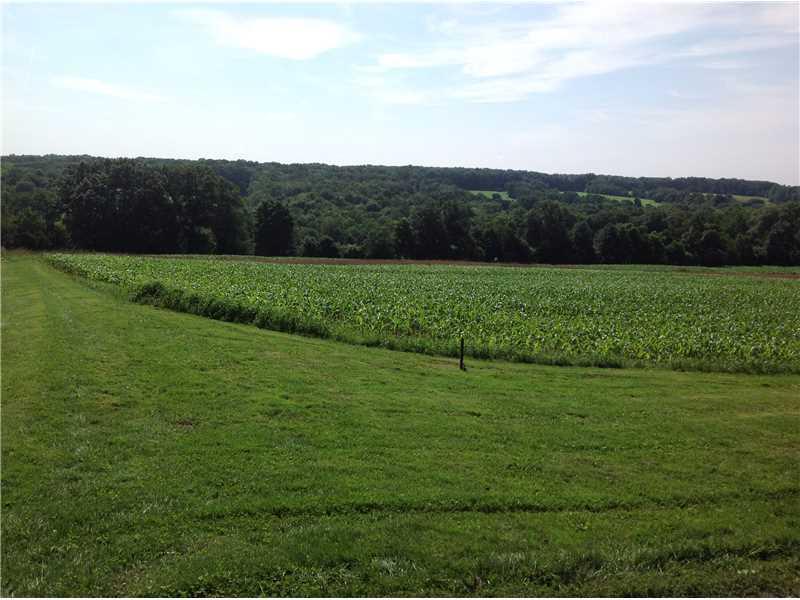 6430 Lamor Road Hermitage, PA 16148 - Photo 3 of 25 View.