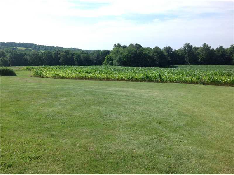 6430 Lamor Road Hermitage, PA 16148 - Photo 24 of 25 Land.