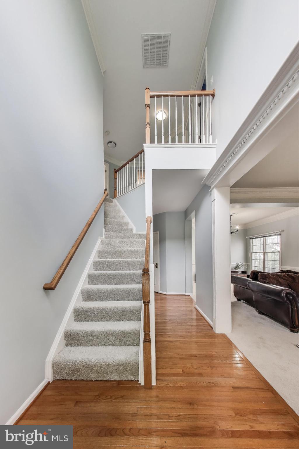 42647 Harris Street Chantilly, VA 20152 - Photo 5 of 54