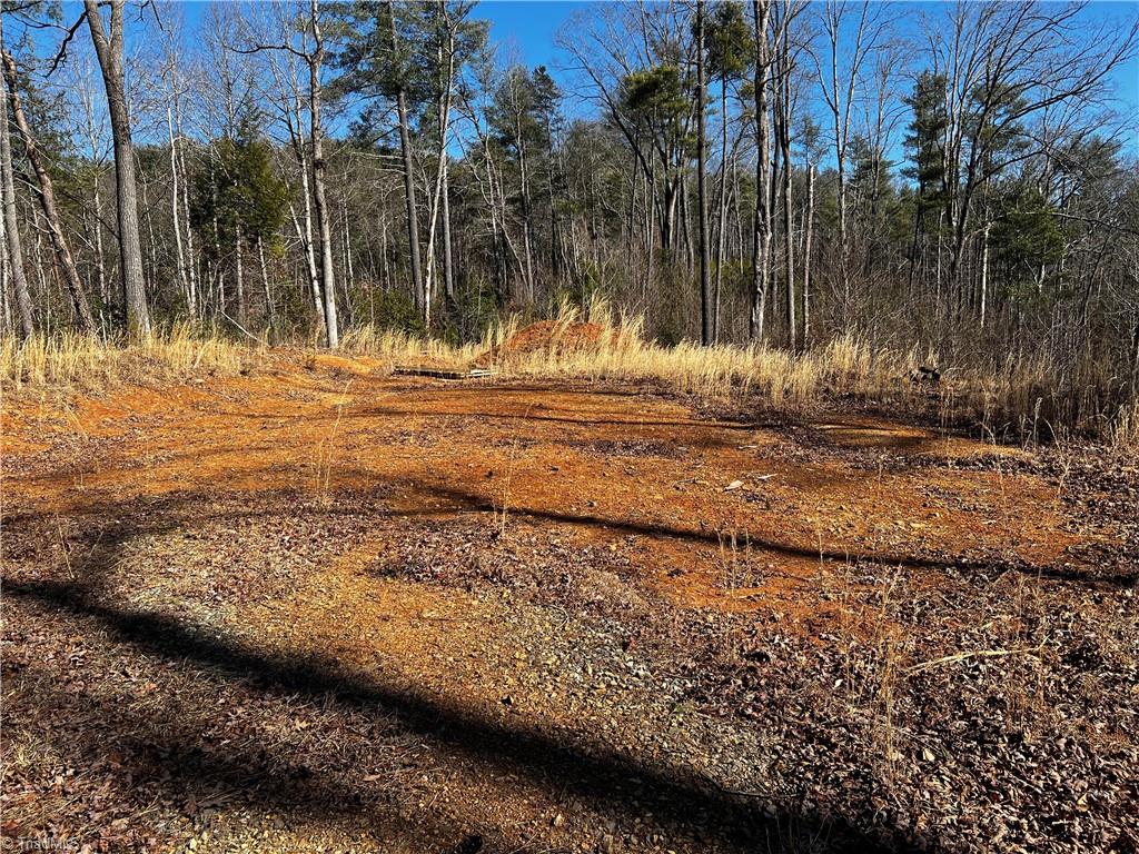 Tbd Hamby Mountain Road Purlear, NC 28665 - Photo 1 of 9 Gallery Image 1