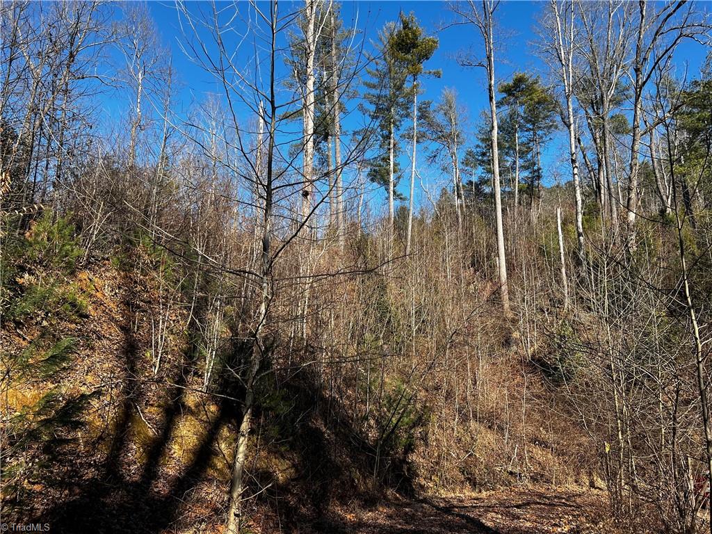 Tbd Hamby Mountain Road Purlear, NC 28665 - Photo 4 of 9 Gallery Image 4