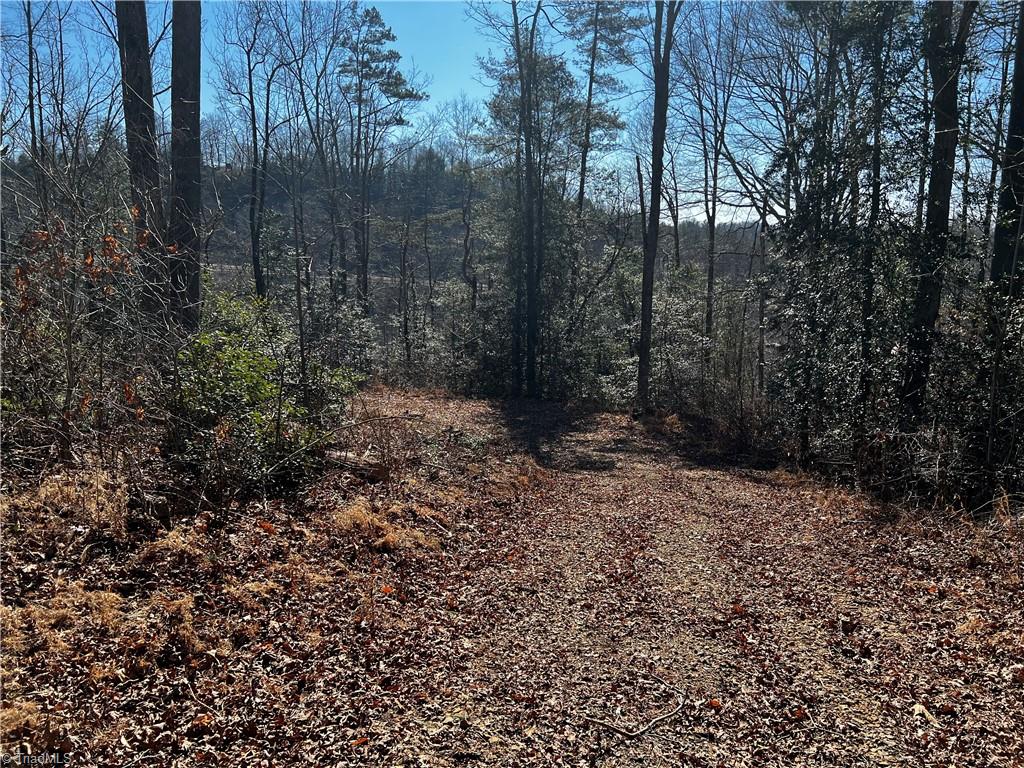 Tbd Hamby Mountain Road Purlear, NC 28665 - Photo 5 of 9 Gallery Image 5