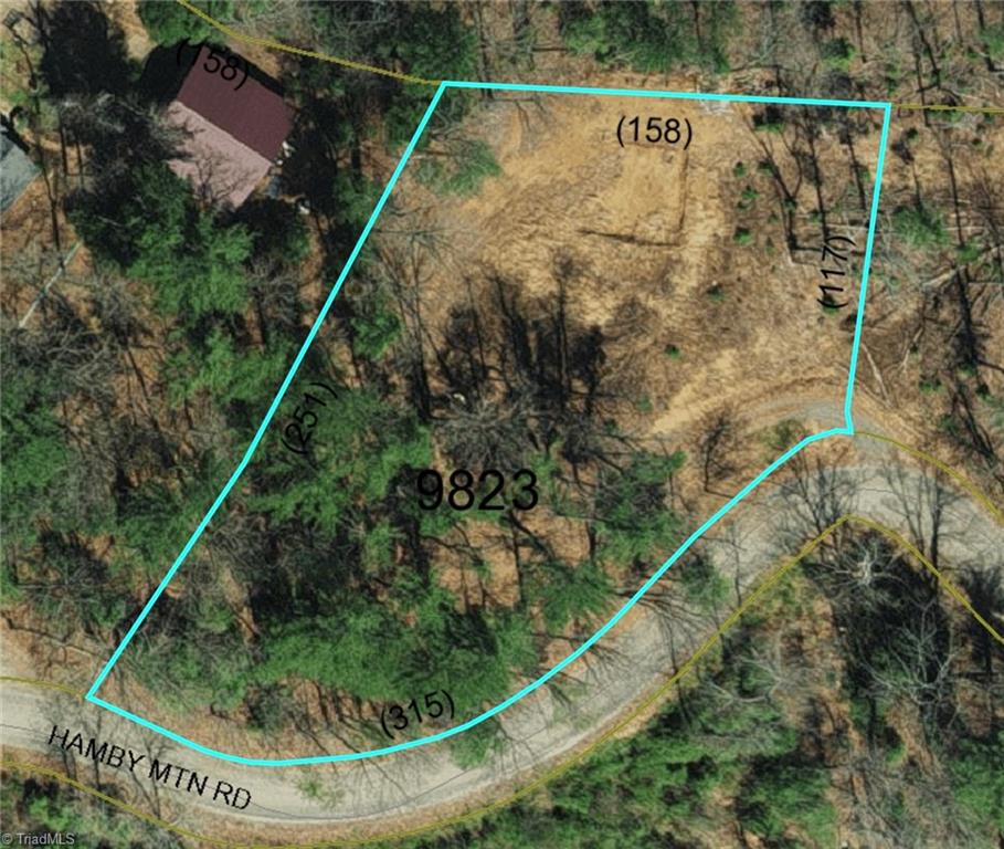 Tbd Hamby Mountain Road Purlear, NC 28665 - Photo 8 of 9 PIN 1508556