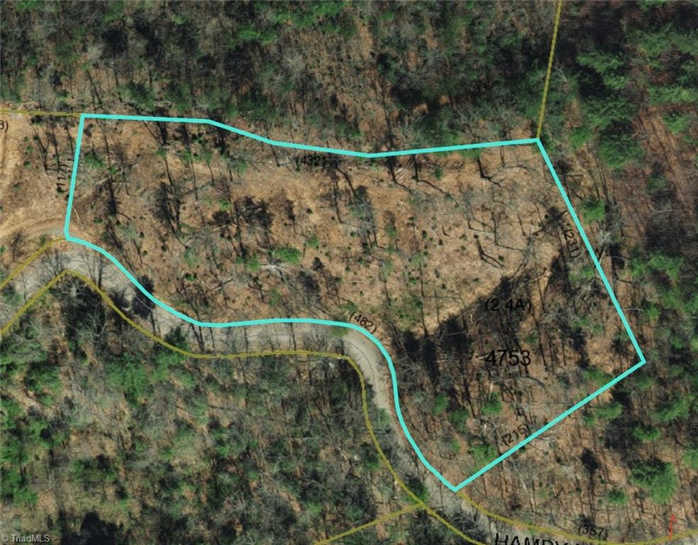 Tbd Hamby Mountain Road Purlear, NC 28665 - Photo 9 of 9 PIN 1508028