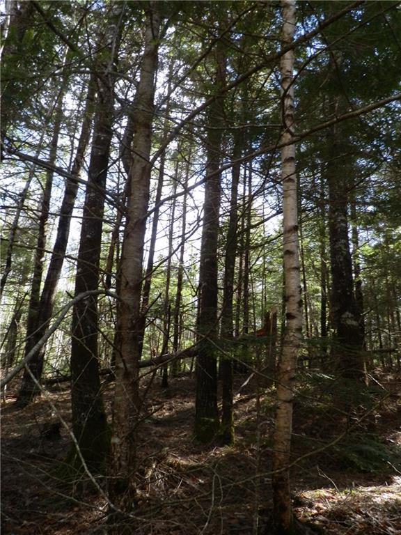 Lot 23 Lilly Pond Road Beddington, ME 04622 - Photo 11 of 29 Photo