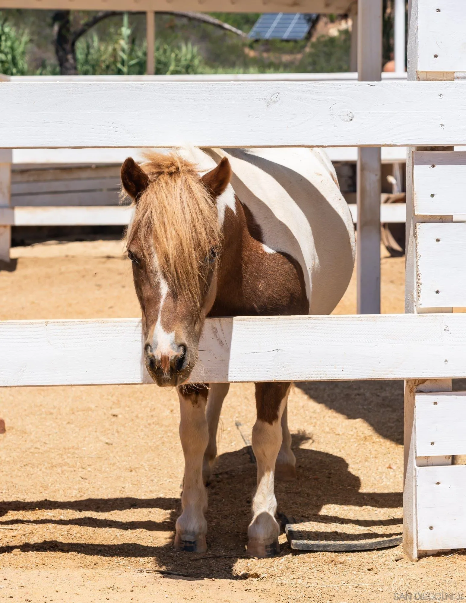 14298 Ipava Drive Poway, CA 92064 - Photo 57 of 74