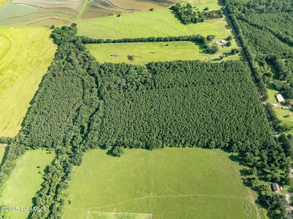 $55,000 | Tbd Jolene Road, Basile, LA 70515