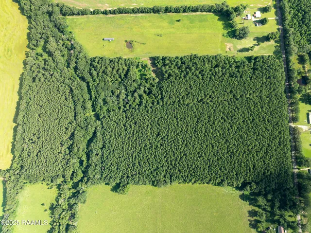 $55,000 | Tbd Jolene Road, Basile, LA 70515