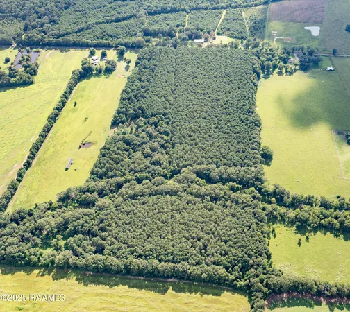 $55,000 | Tbd Jolene Road, Basile, LA 70515