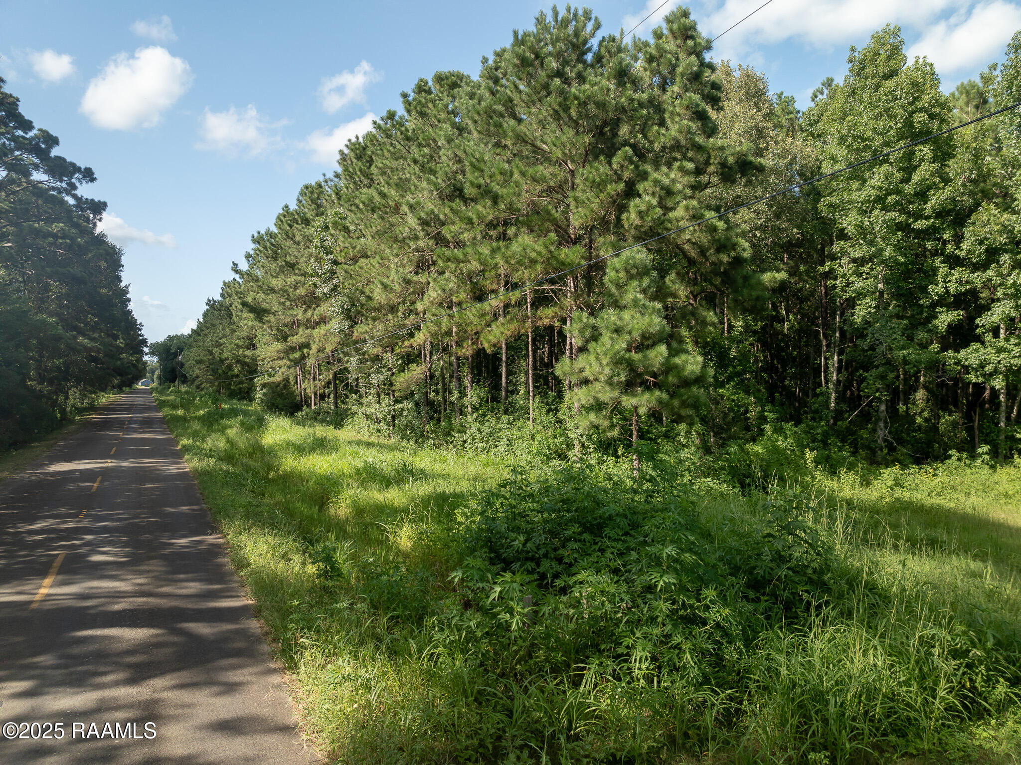 Tbd Jolene Road Basile, LA 70515 - Photo 2 of 14 DJI_0320