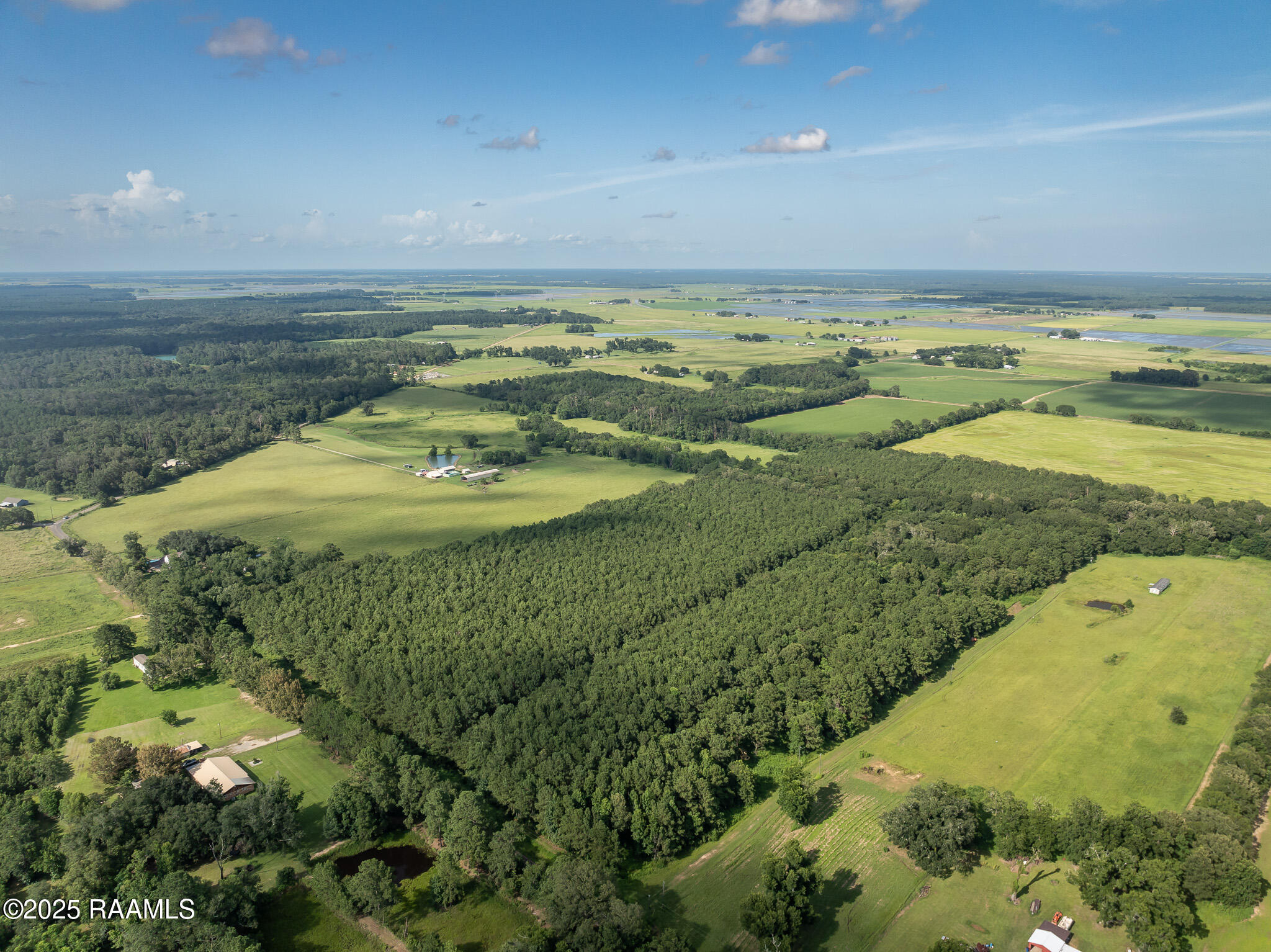 Tbd Jolene Road Basile, LA 70515 - Photo 3 of 14 DJI_0322