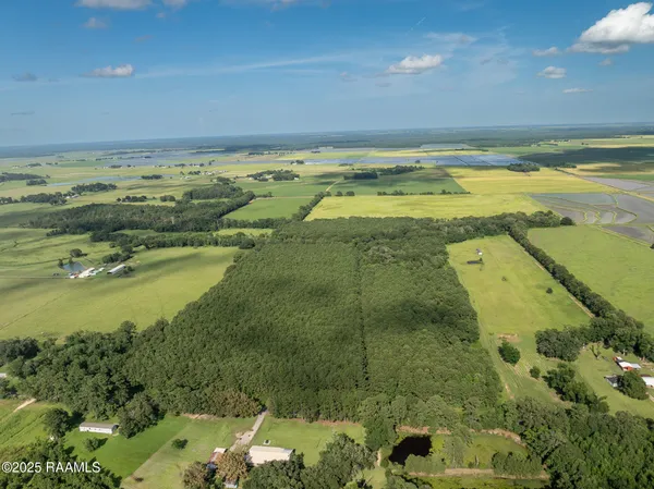 $55,000 | Tbd Jolene Road, Basile, LA 70515