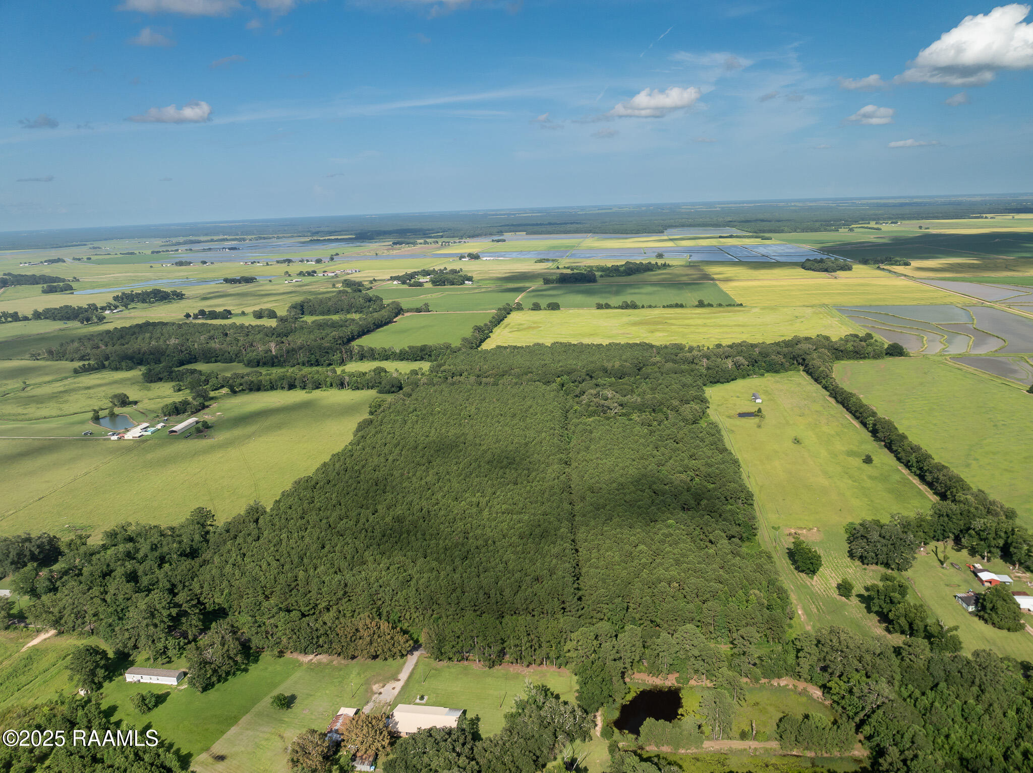 Tbd Jolene Road Basile, LA 70515 - Photo 4 of 14 DJI_0323