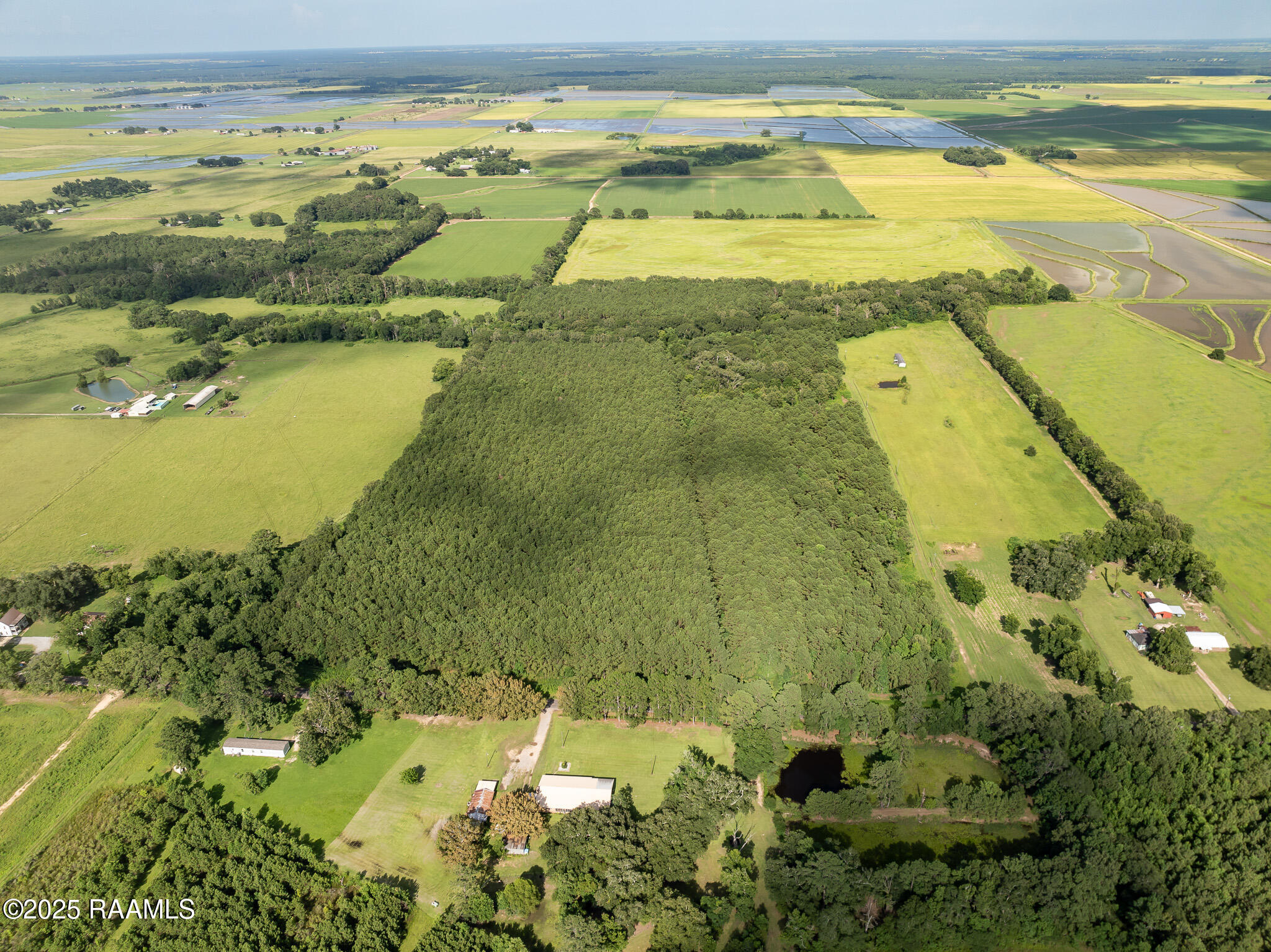 Tbd Jolene Road Basile, LA 70515 - Photo 5 of 14 DJI_0324